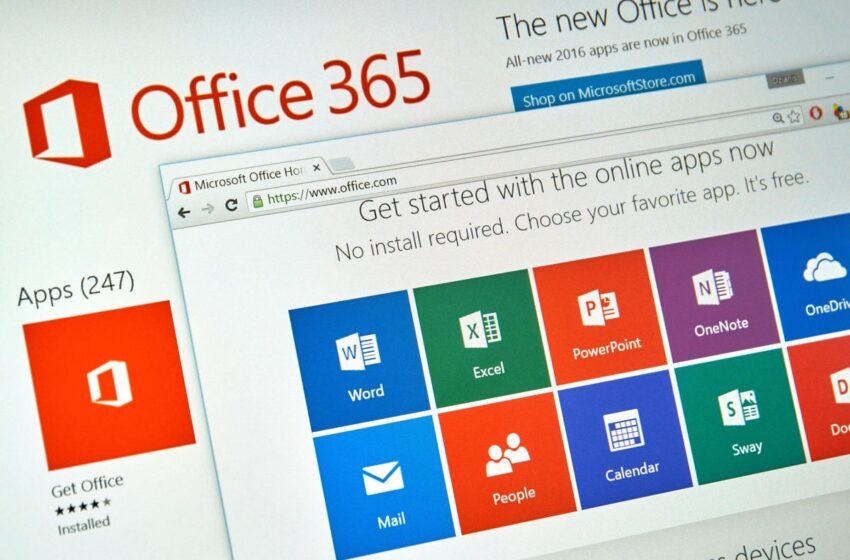  Office 365 vs. Office 19
