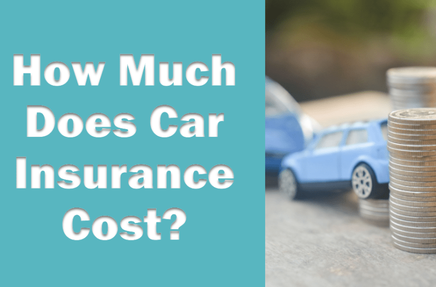  How Much Should Car Insurance Cost