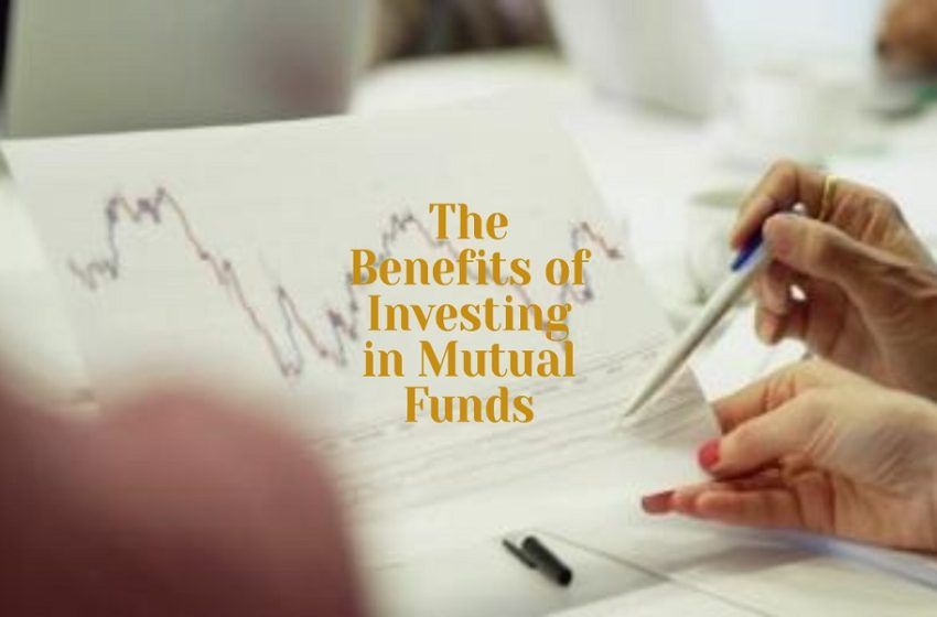 why is it so important to avoid buying single stocks and invest in mutual funds instead