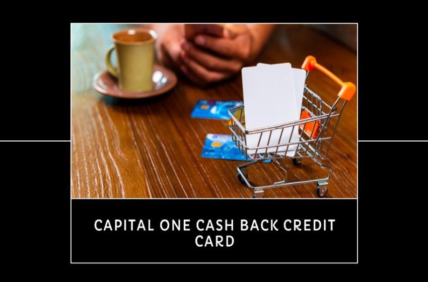 capital one cash back credit cards